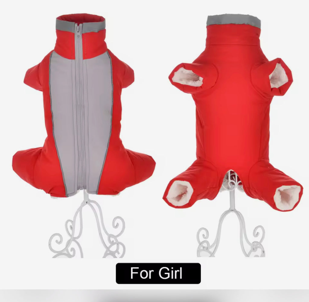 Blue & Red Jumpsuit Waterproof