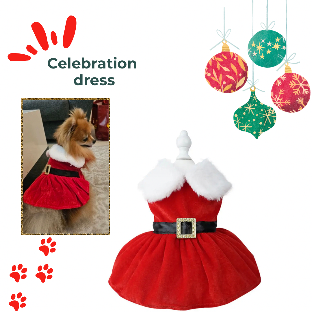 Santa Dress