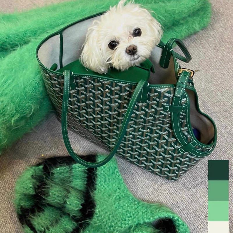 Green Carrier With Treats Pouch