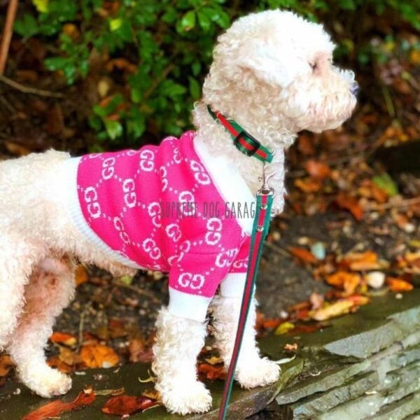 Pink GG Top