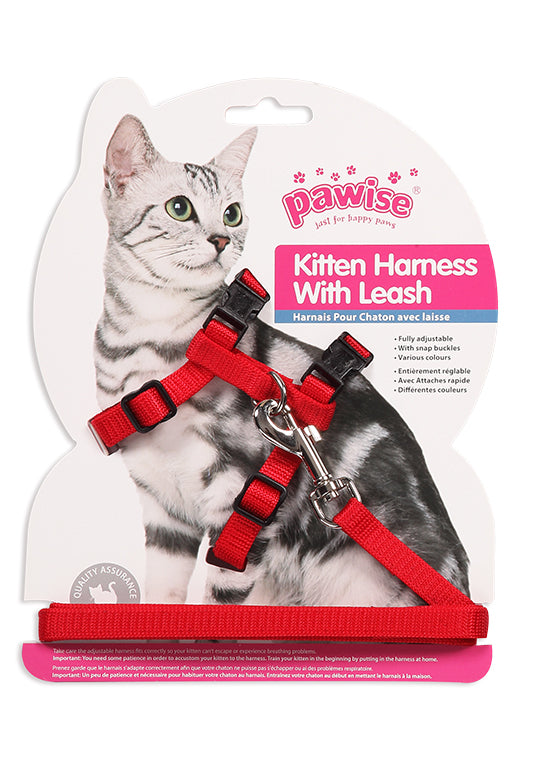 Cat harness