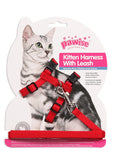 Cat harness