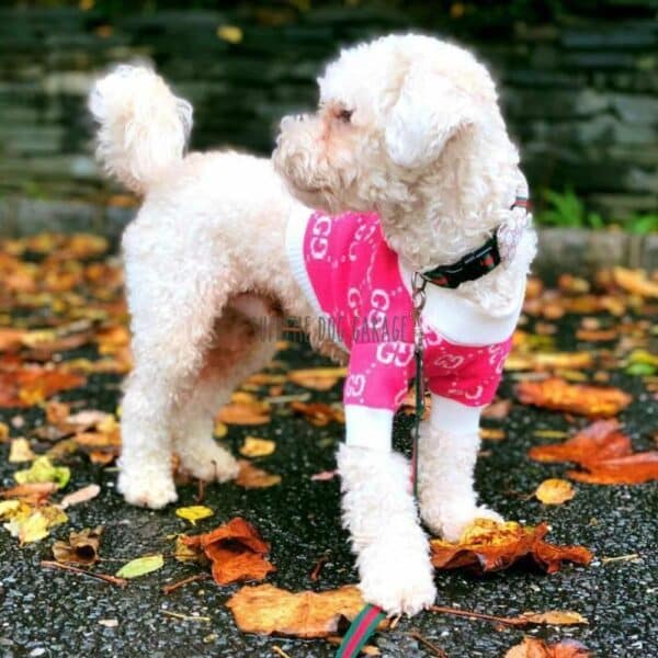 Pink GG Top