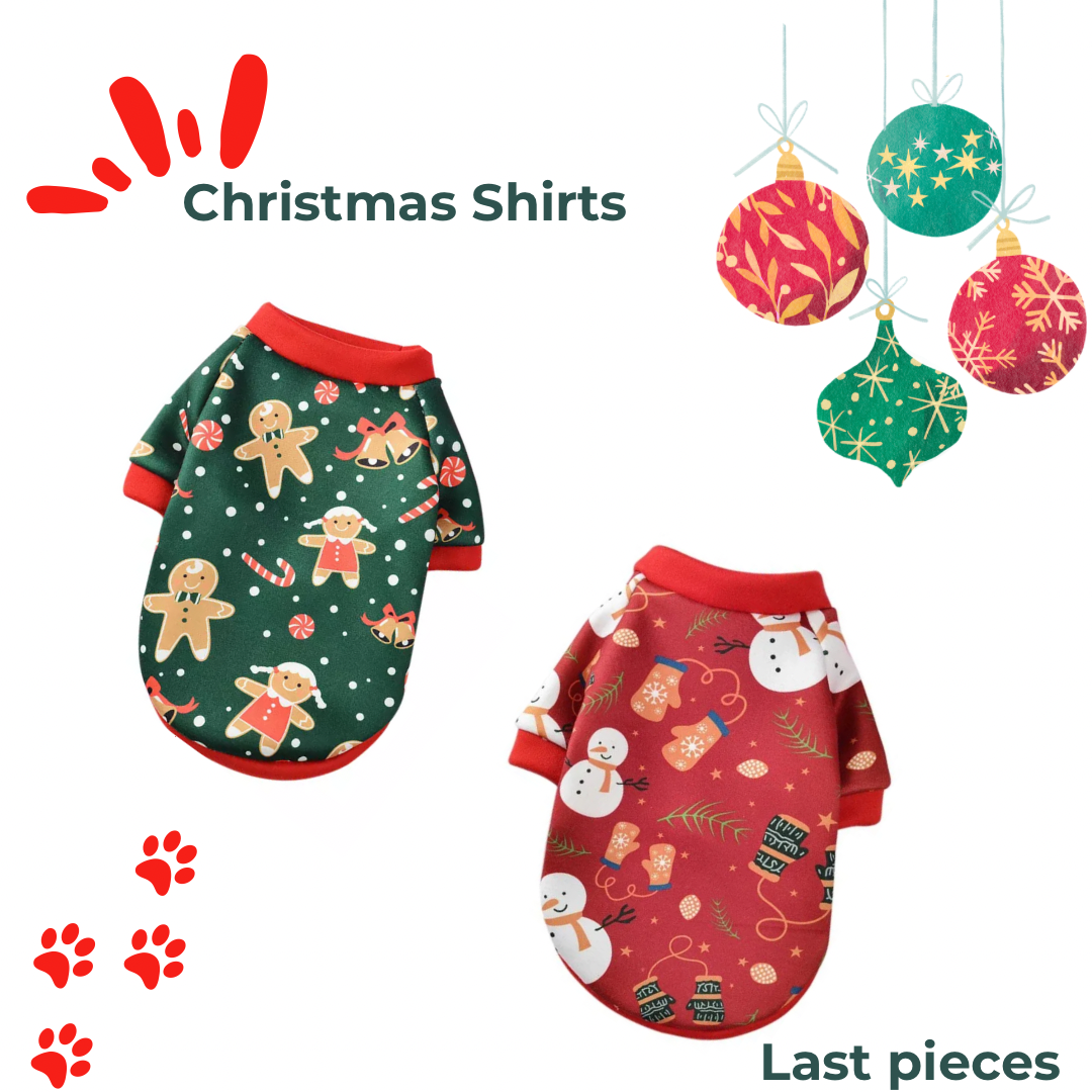 Christmas shirts