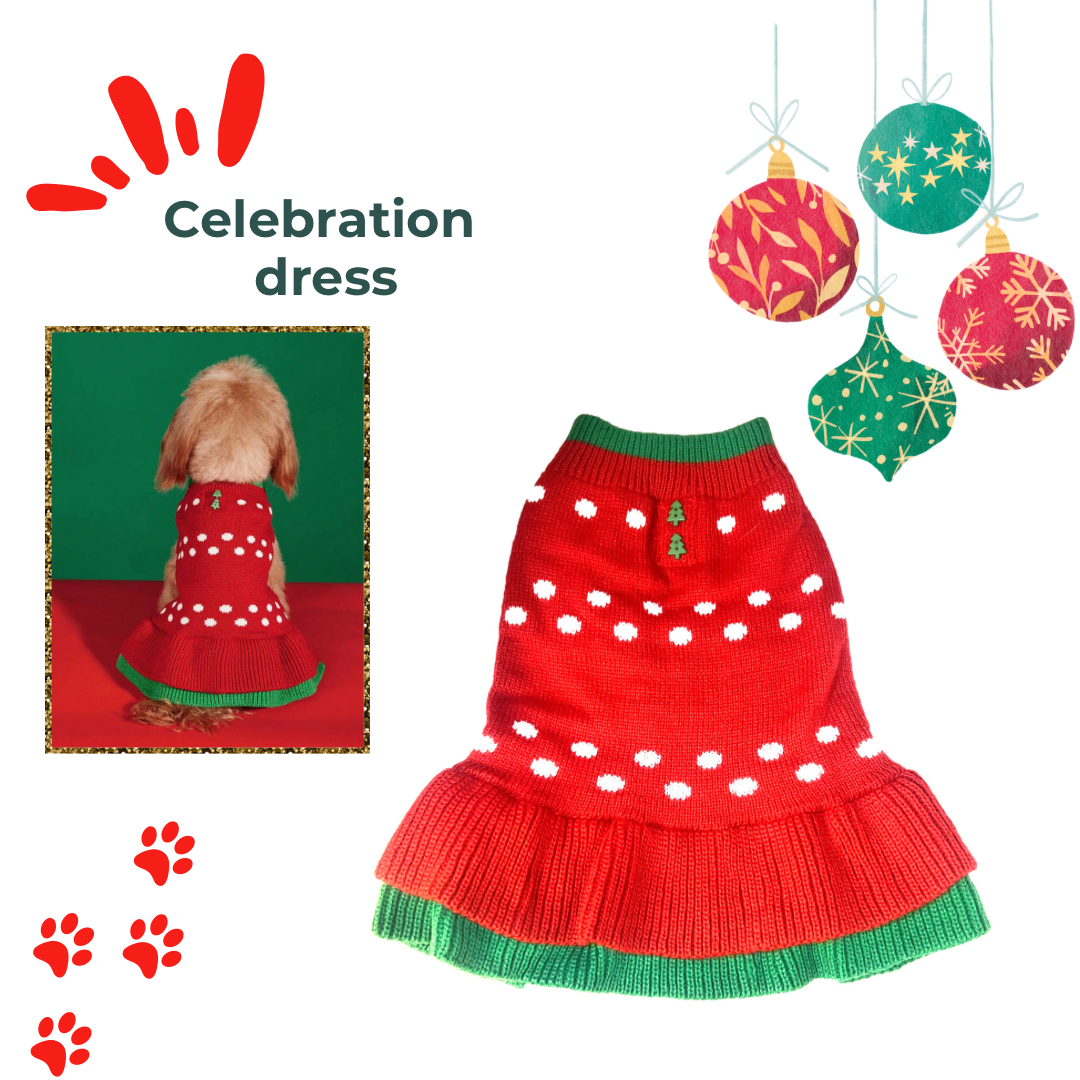 Christmas Knitwear Dress