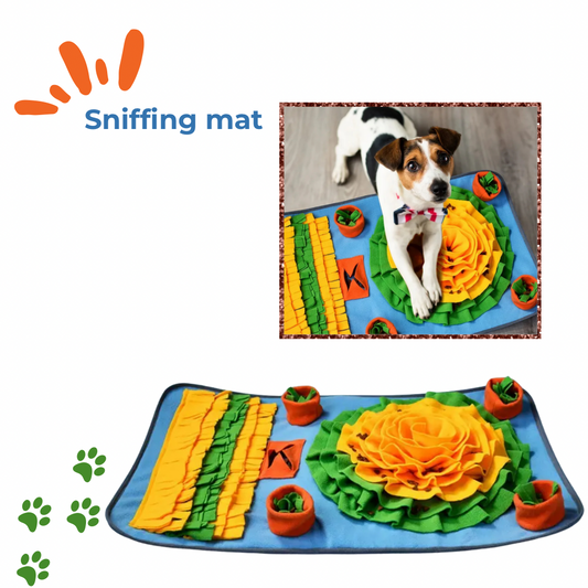 Pet sniffing mat