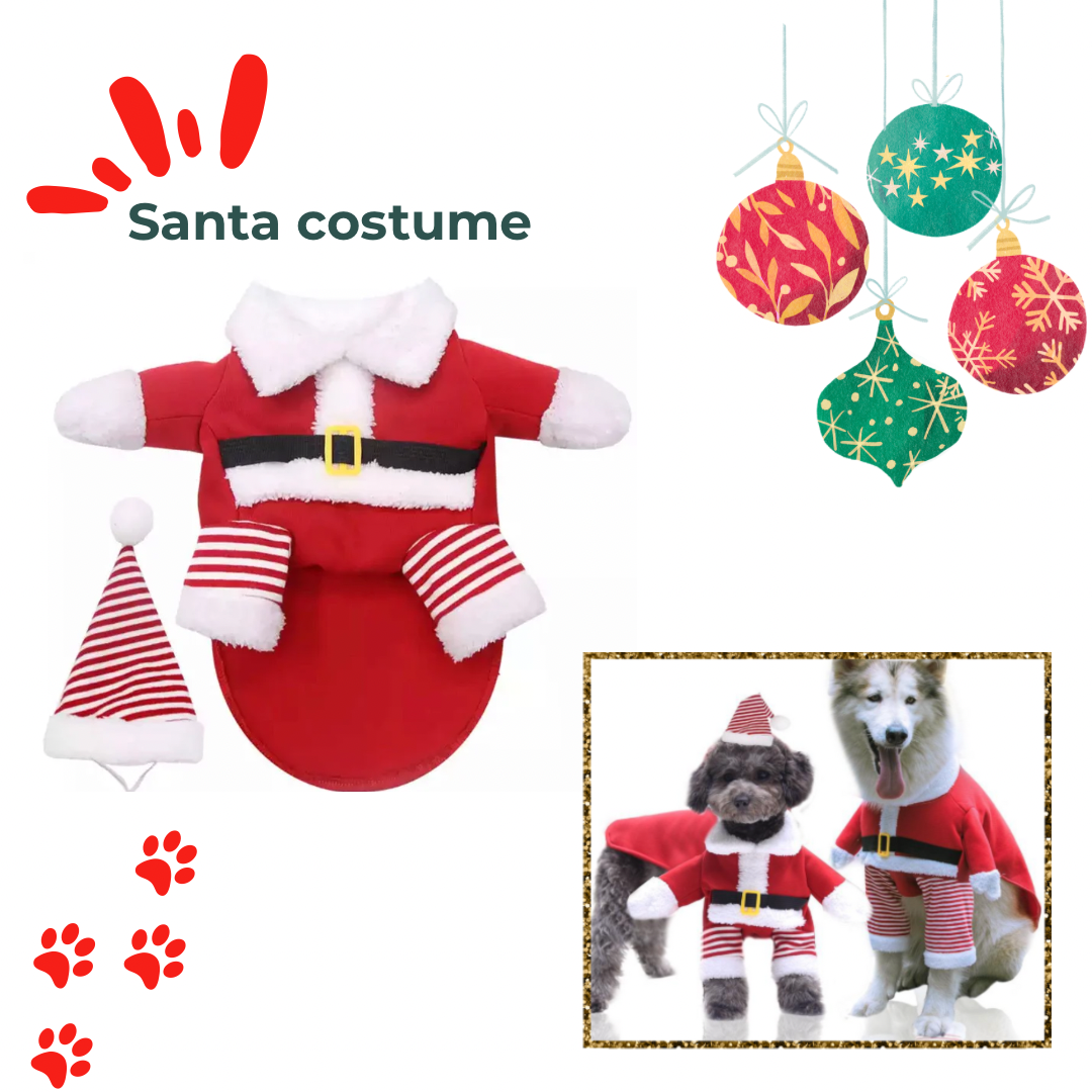 Santa Costume with Hat