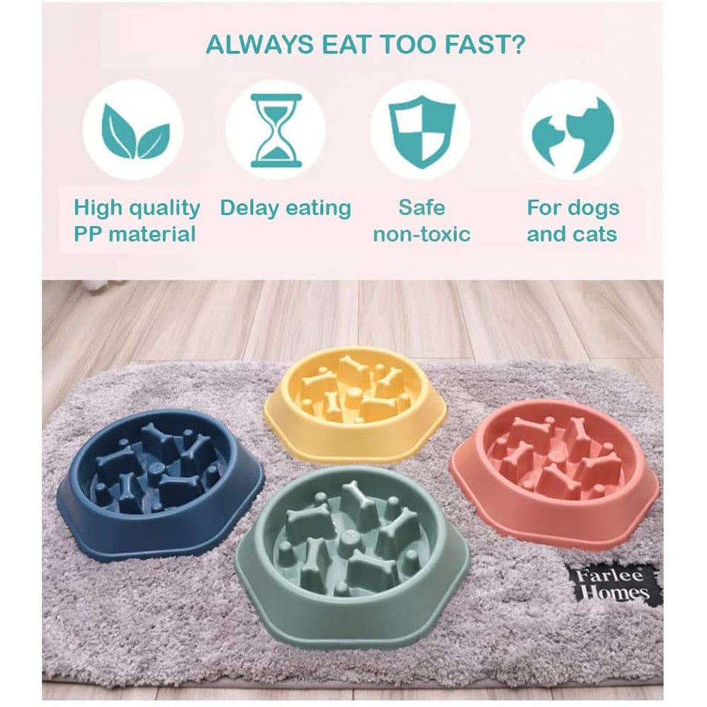Slow Feeder