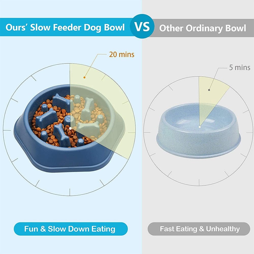 Slow Feeder