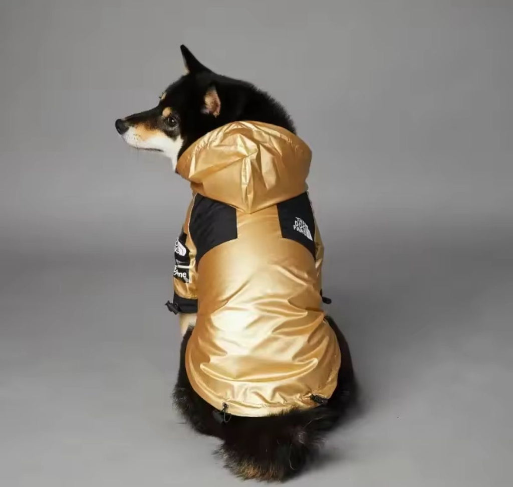 Gold Raincoat