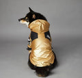 Gold Raincoat