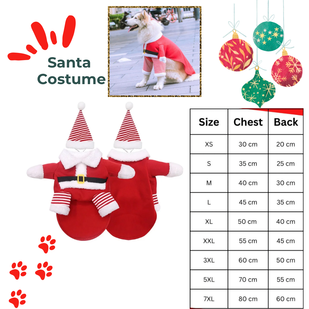 Santa Costume with Hat