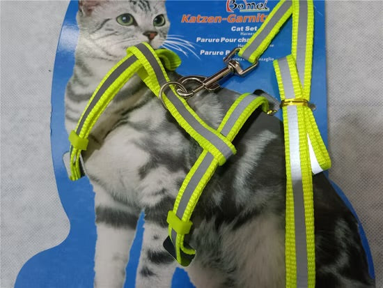 Cat harness
