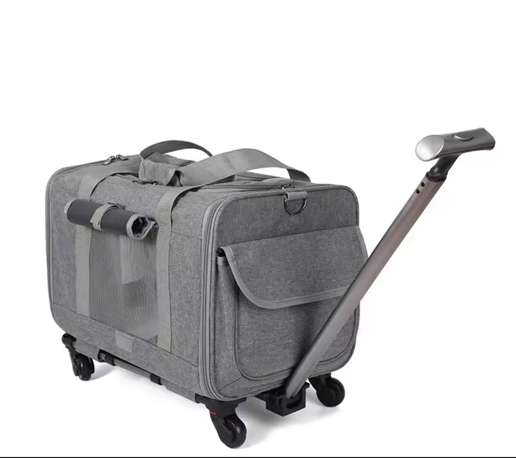Portable carrier