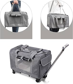 Portable carrier