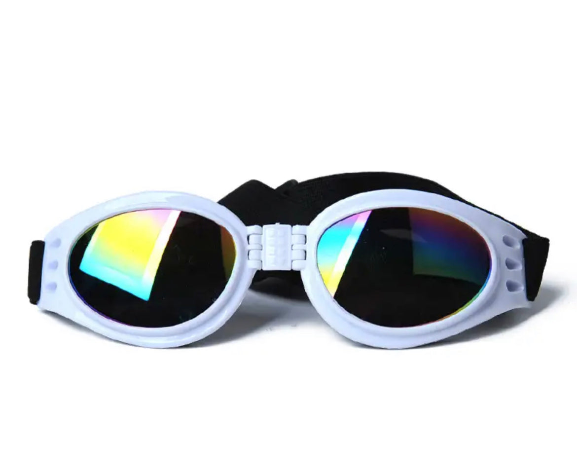 Dog Goggles with UV protection