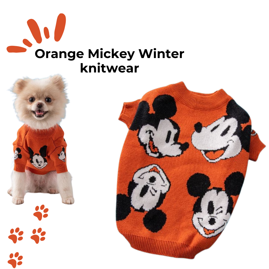 Orange Mickey Pet Knitwear