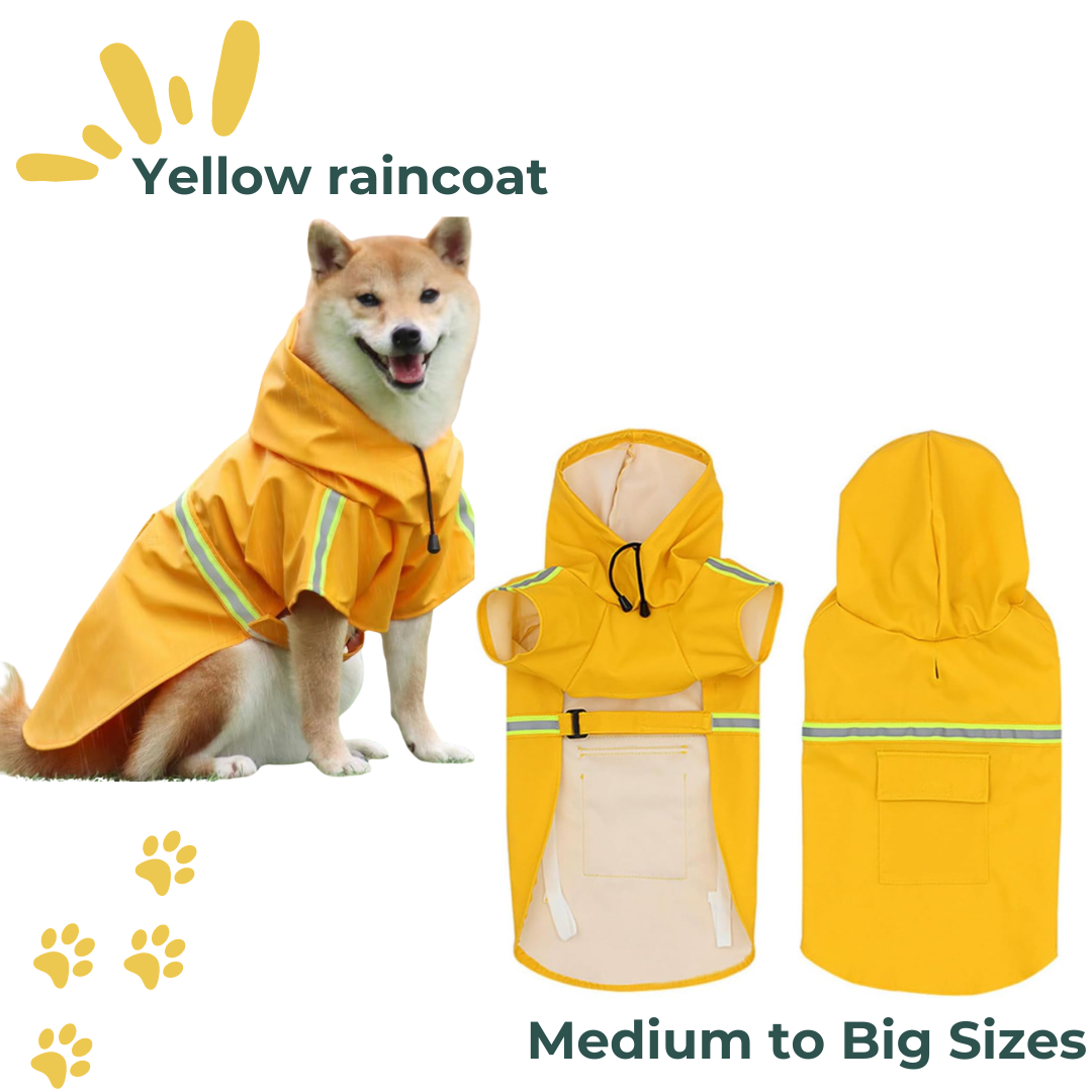Yellow raincoat