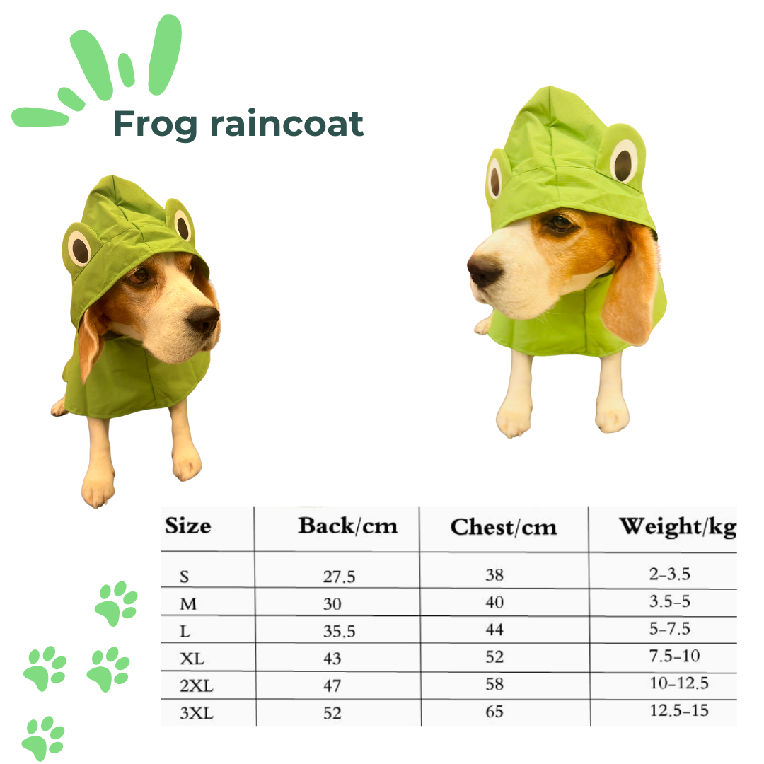 Frog shaped green raincoat