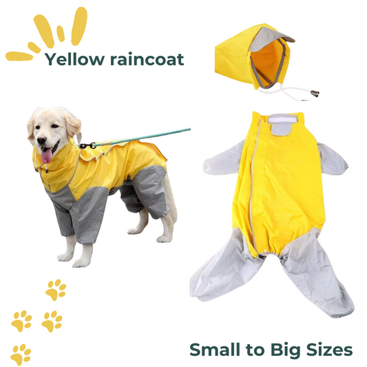 Raincoat yellow and gray