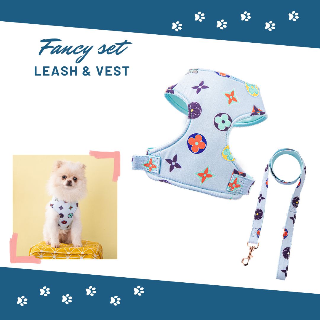 Fancy Vest and Leash